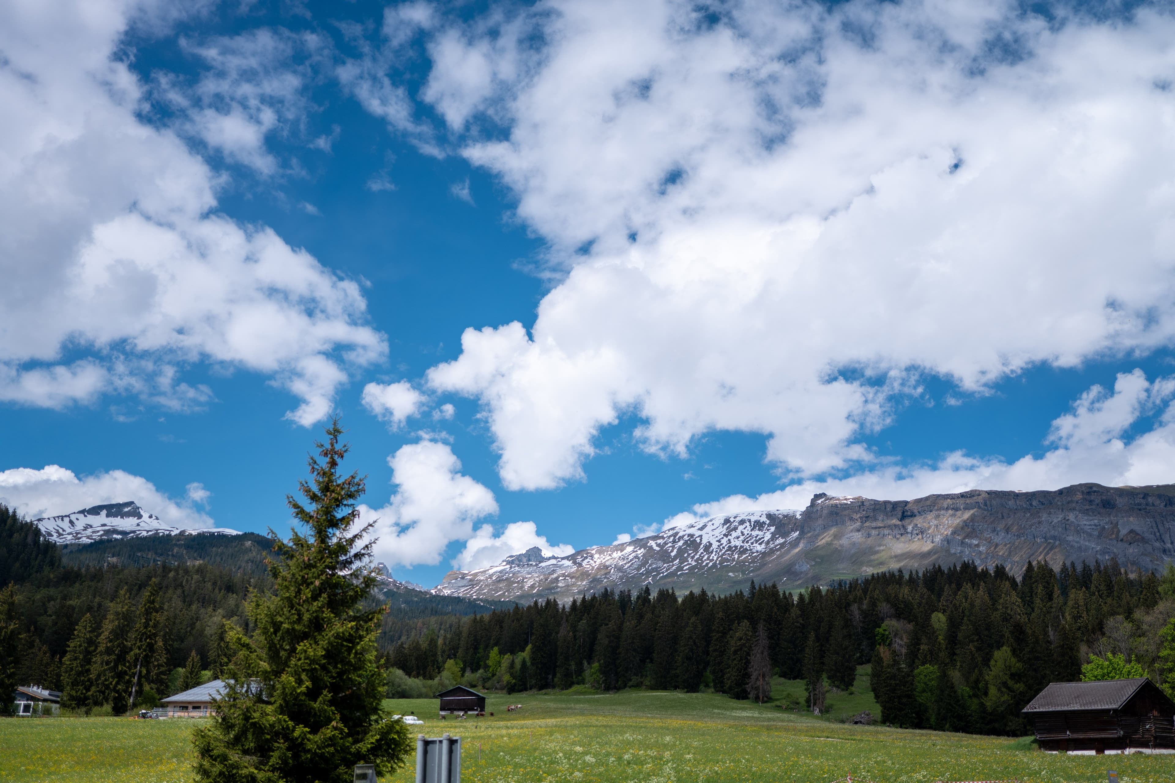 Zuitzerland photo 4